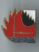 Plaketten & Abzeichen: Feuerwehr Haegendorf PIN – Gebraucht aus Zürich von t24_de