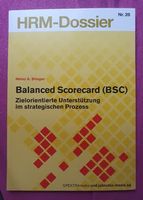 Balanced Scorecard (BSC)