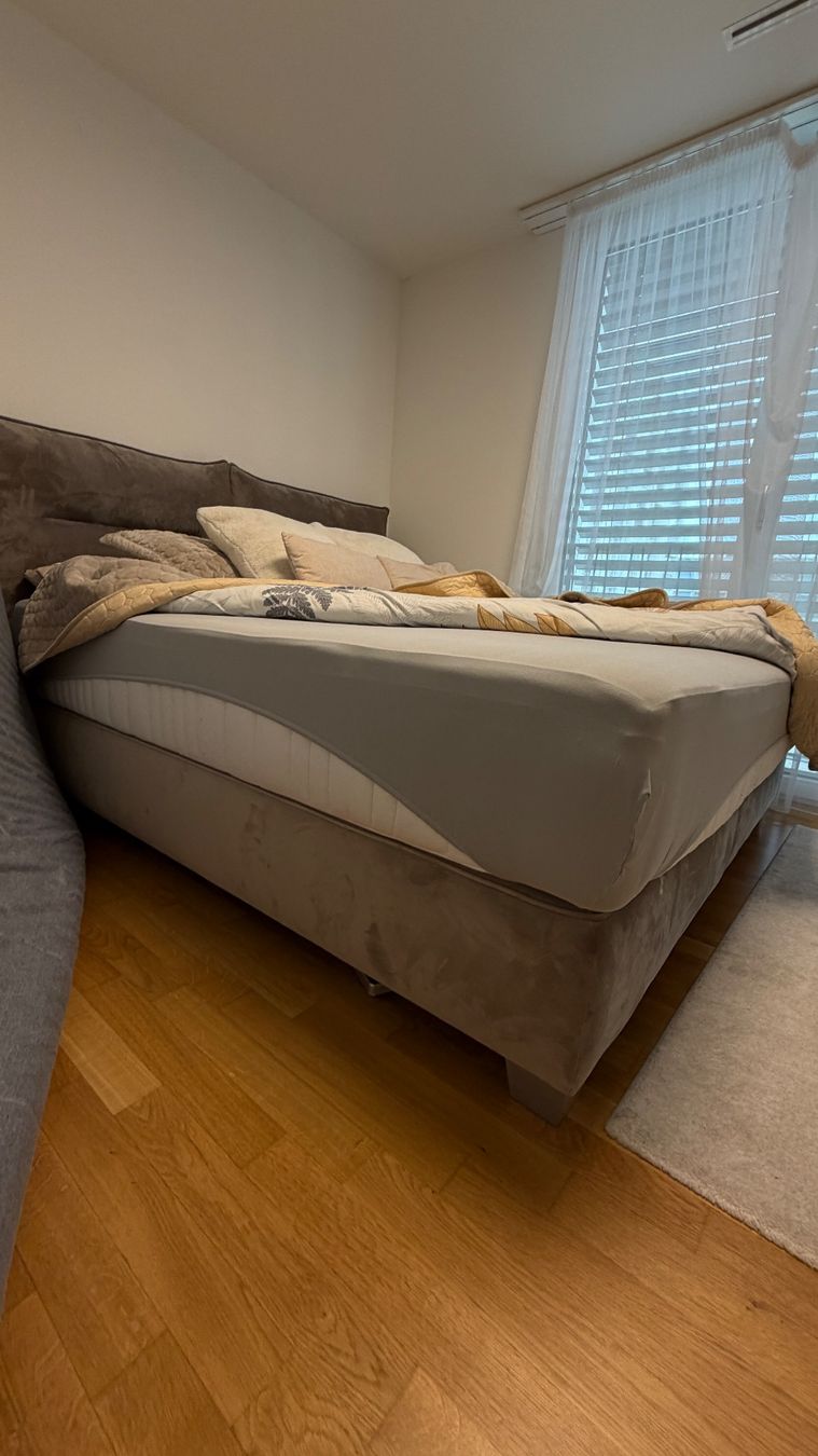 Mömax Letti: Boxspringbett Mömax – Usato da lenzburg venduto da ami_9czg 1