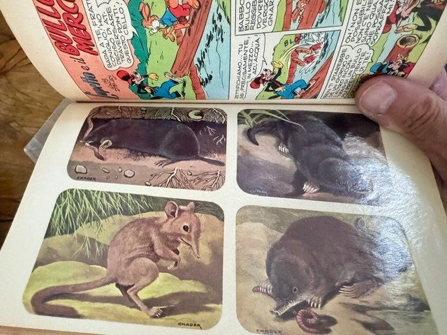 Fumetti: 7 TOPOLINI 3 CON FIGURINE – Usato da Davesco-Soragno venduto da kappas 2