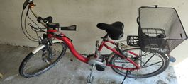 E-Bike Flyer C9 Deluxe