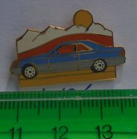 1 Auto Pin (L101)