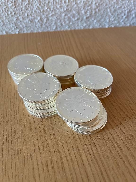 Alle Münzen: 25x1Unze Maple Leaf Feinsilber – Gebraucht aus Arbon von luk_h2cc 1