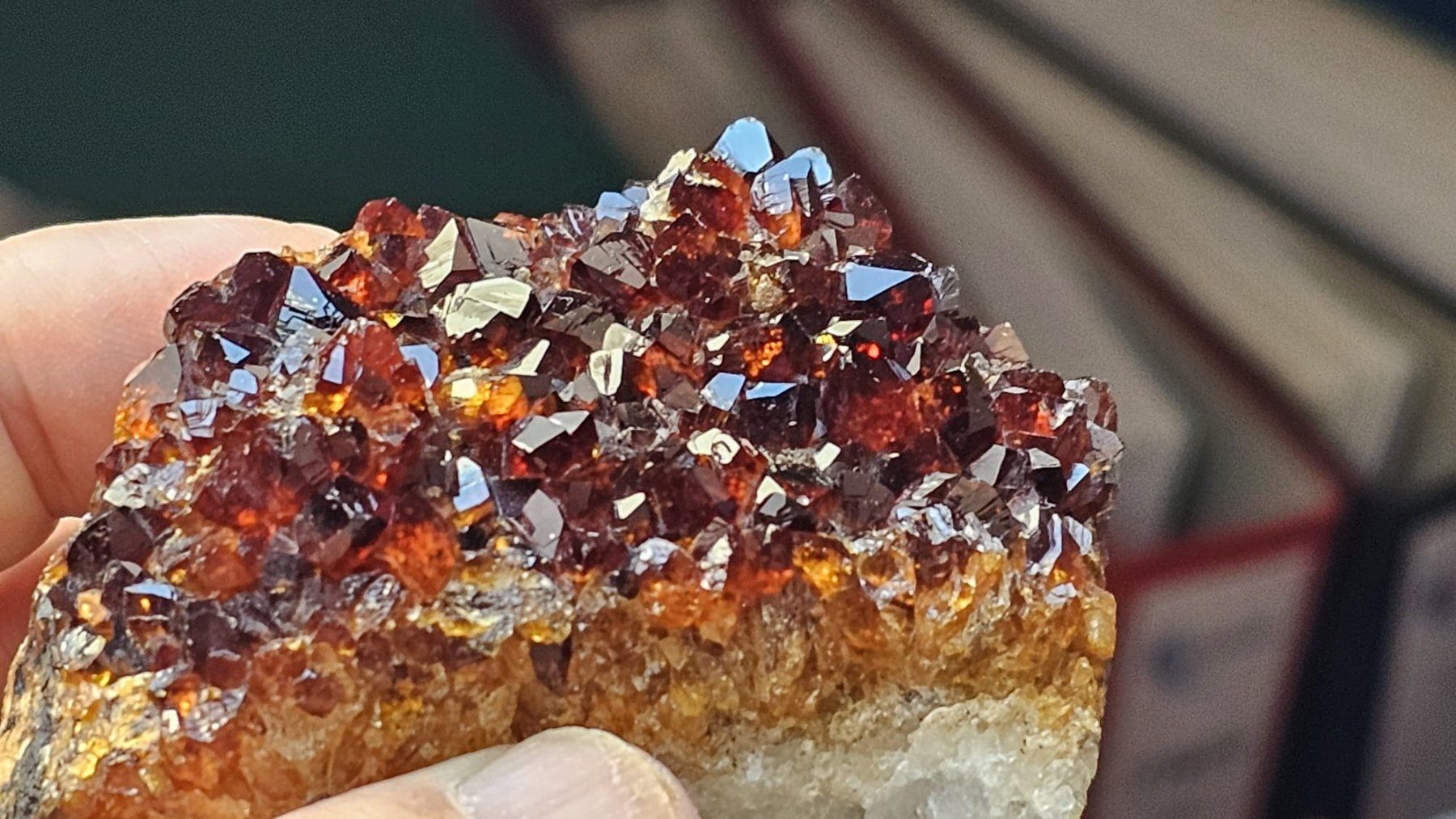 Minerali & Pietre curative: Dark Red Garnet Crystal Cluster on Matrix – Usato da St-Légier-Chiésaz venduto da nig_dk7p 1
