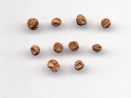 (232) Indien, 10 x Fanam, div. Jahre Gold