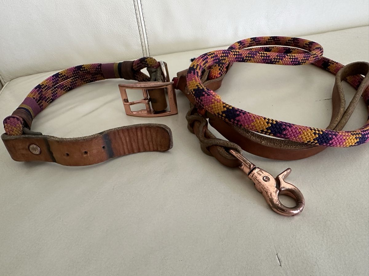 Leine & Halsband: Schönes Leinen und Halsband Set – Gebraucht aus Buttikon SZ von TamaraS01 3