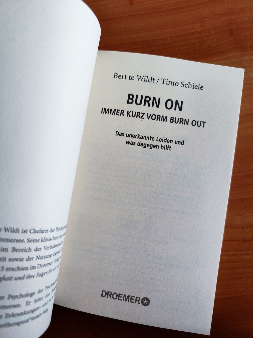 Libri: Burn On von Bert te Wildt Timo Schiele  – Usato da Mägenwil venduto da VintageGirly 8