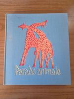 Parade animale du Continent noir 1963 VDB Berne