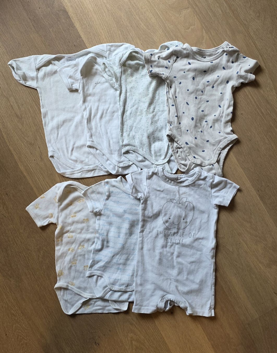 Lotti di vestiti: 7 Kurzarmbodies Gr. 62 – Usato da Wabern venduto da jsterls
