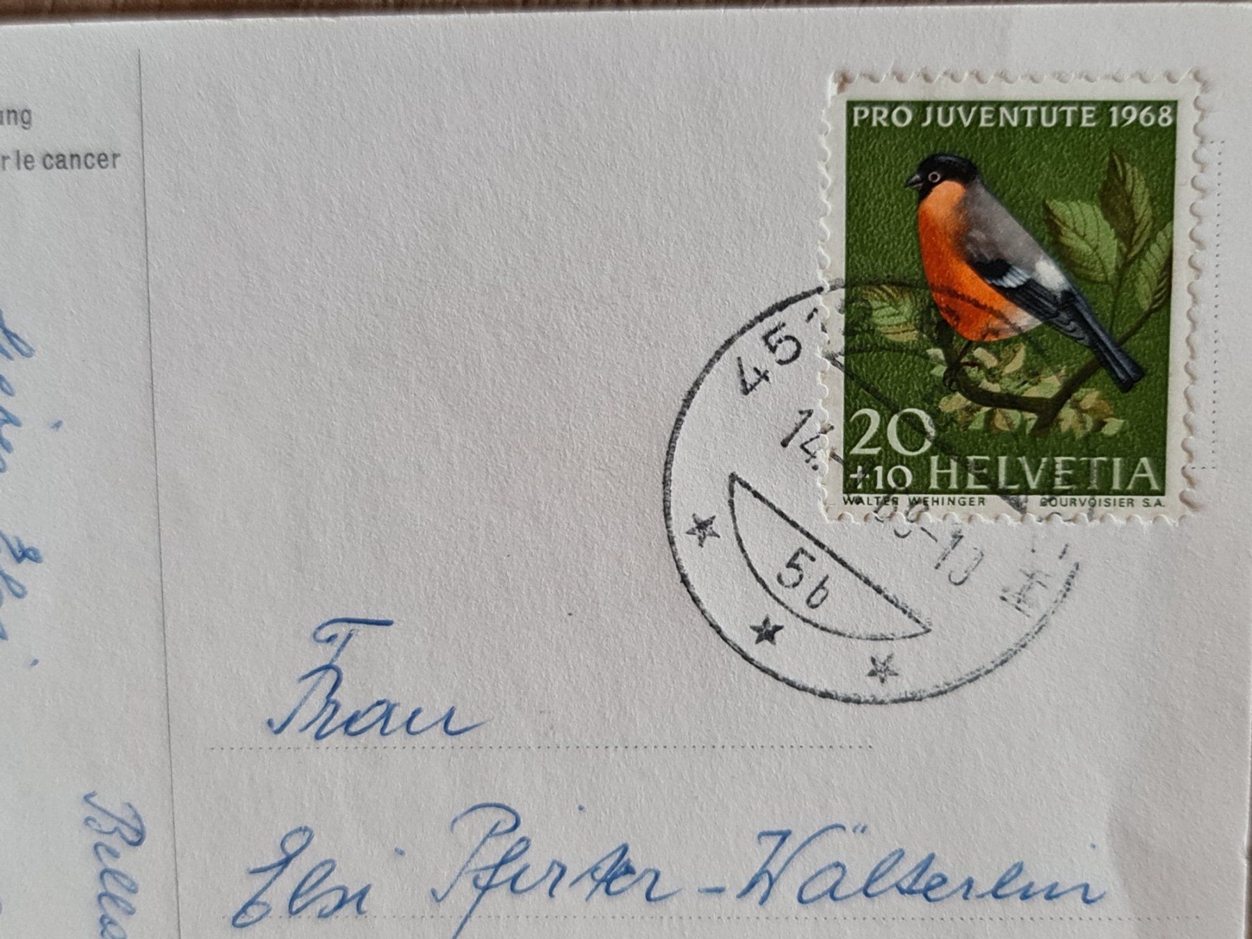 Ansichtskarten: Ansichtskarte Grünling Vogel 1968 – Gebraucht aus Dintikon von Vexi 1