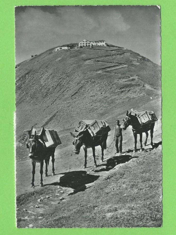 Cartoline postali: Faulhornpost mit Gipfel – Usato da Zürich venduto da t24_de
