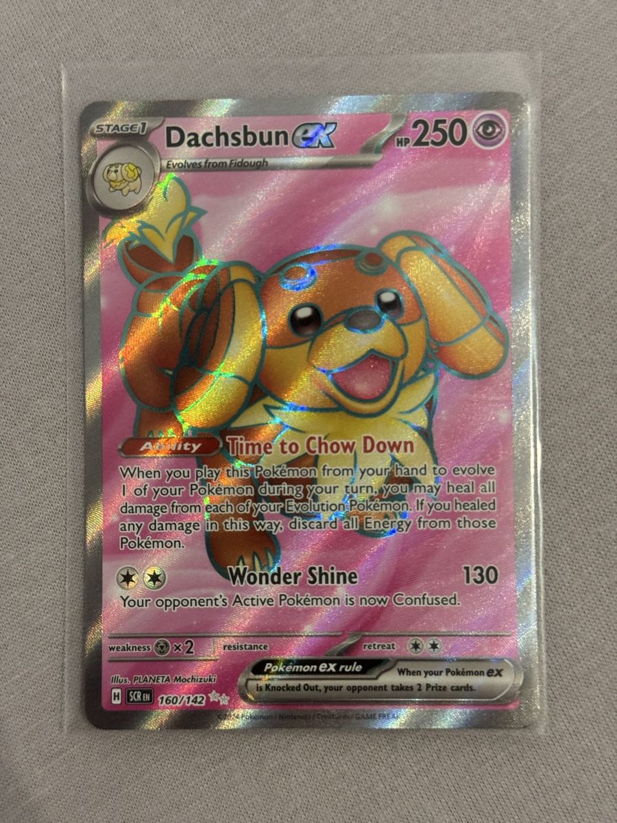 Pokémon Carte collezionabili: Pokémon Dachsbun ex 160/142 Stellar Crown – Nuovo (secondo la descrizione) da St. Gallen venduto da Xbylucas