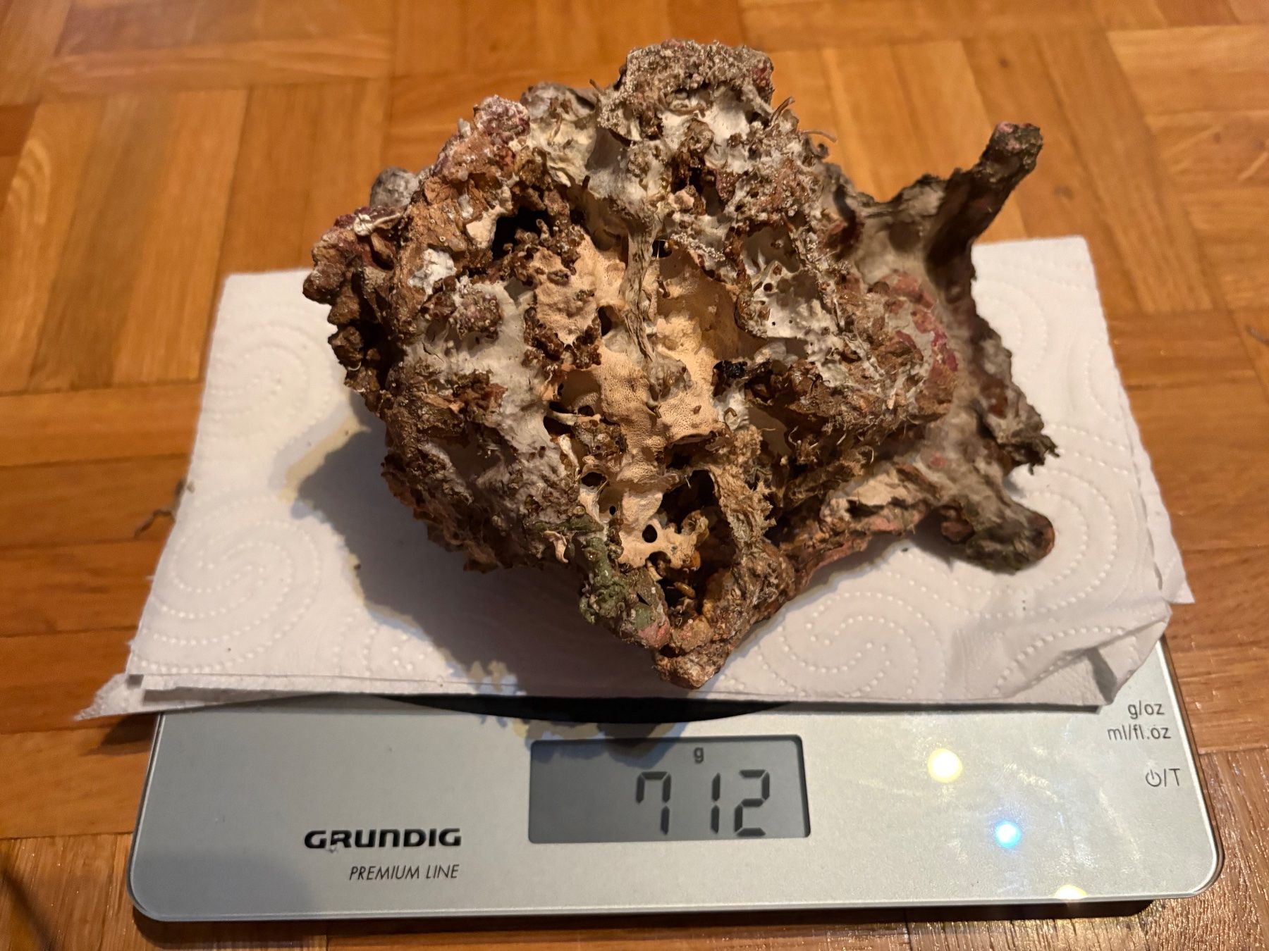 Aquarium: Totes Lebendgestein für Aquarium – Gebraucht aus Genève von papillon2976