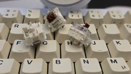 Gateron Jupiter Brown Hot Swap Switches 3Pin (110Stk.)