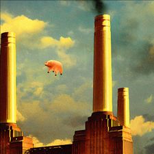 Profile image of magic1980