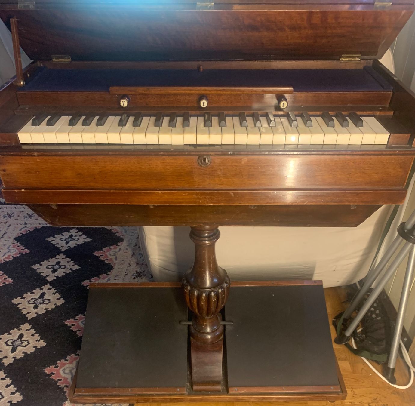 Strumenti musicali: Antikes Reise Harmonium  Physharmonika – Usato da Grabs venduto da mayram27 4