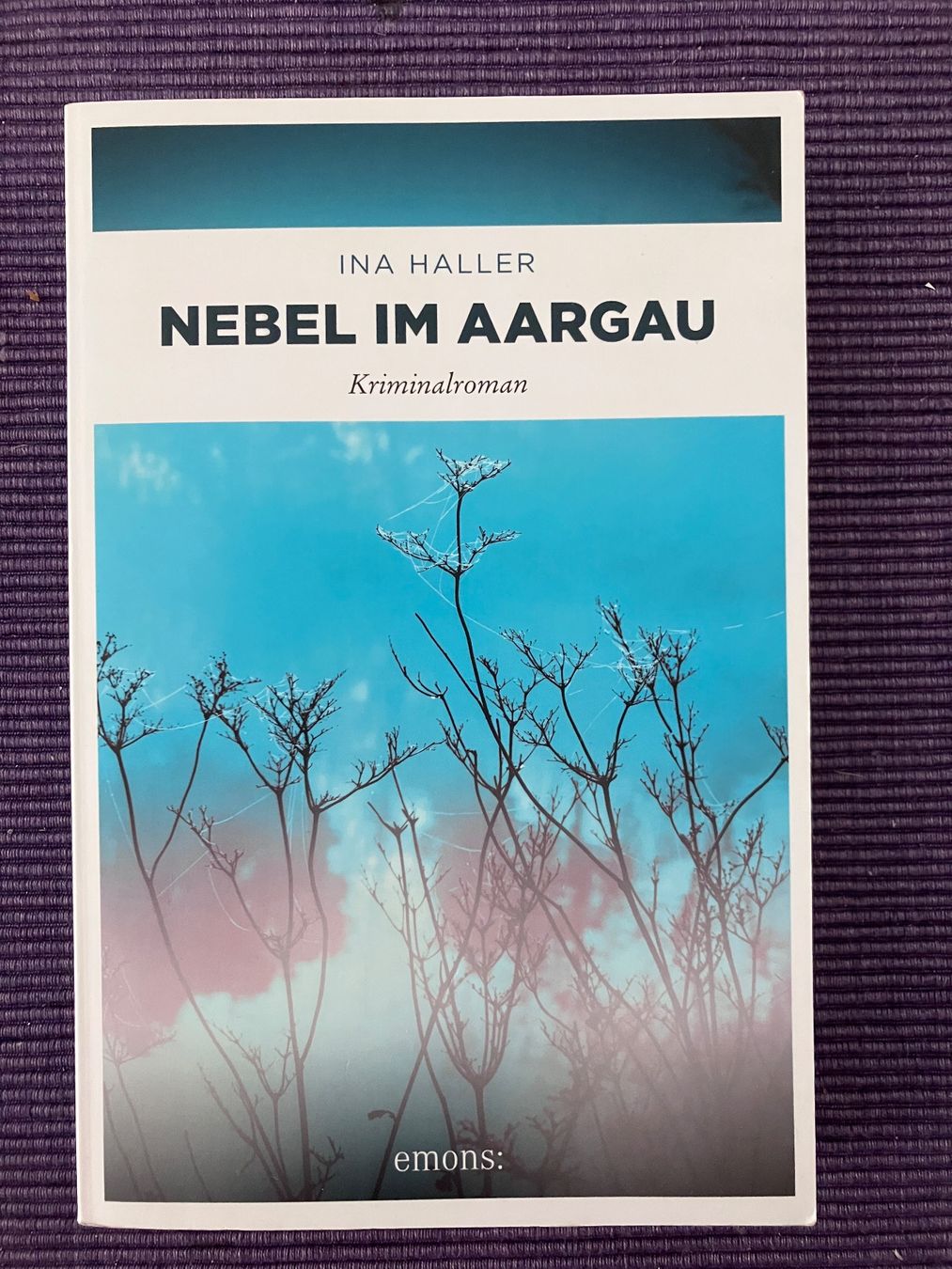 Libri: Ina Haller, Nebel im Aargau – Usato da Zürich venduto da amarelapreto