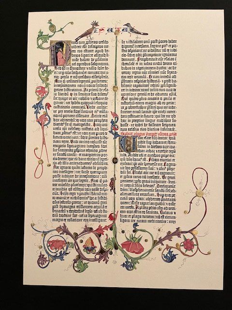 Foto & Immagini: Faksimile / Bibel – Usato da Brunnen venduto da radid