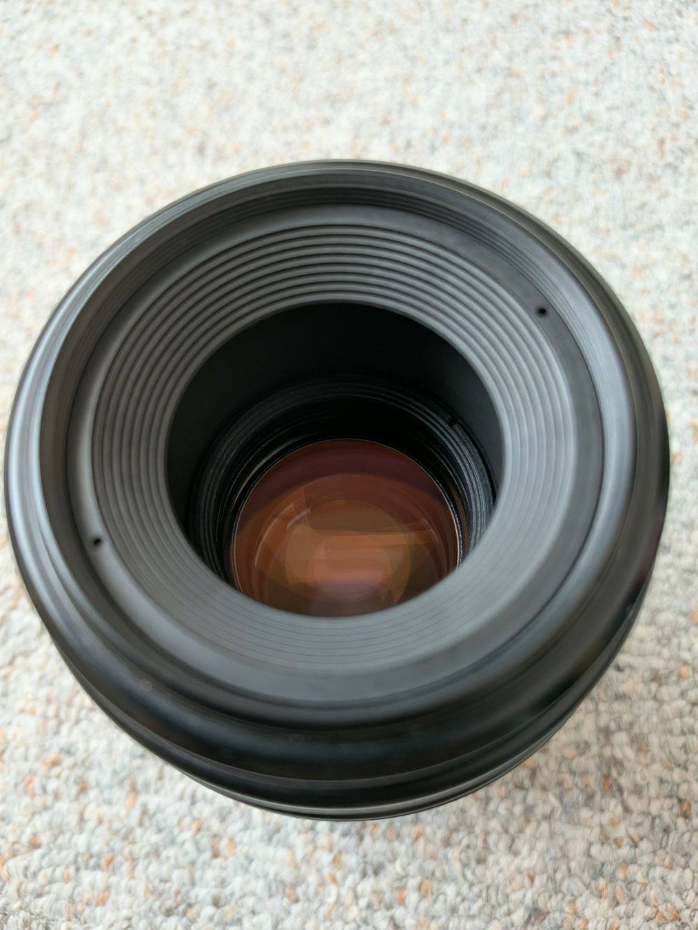 Canon Obiettivi: Canon EF 100mm 1:2.8 Macro – Usato da Wittenbach venduto da Romanoe 1