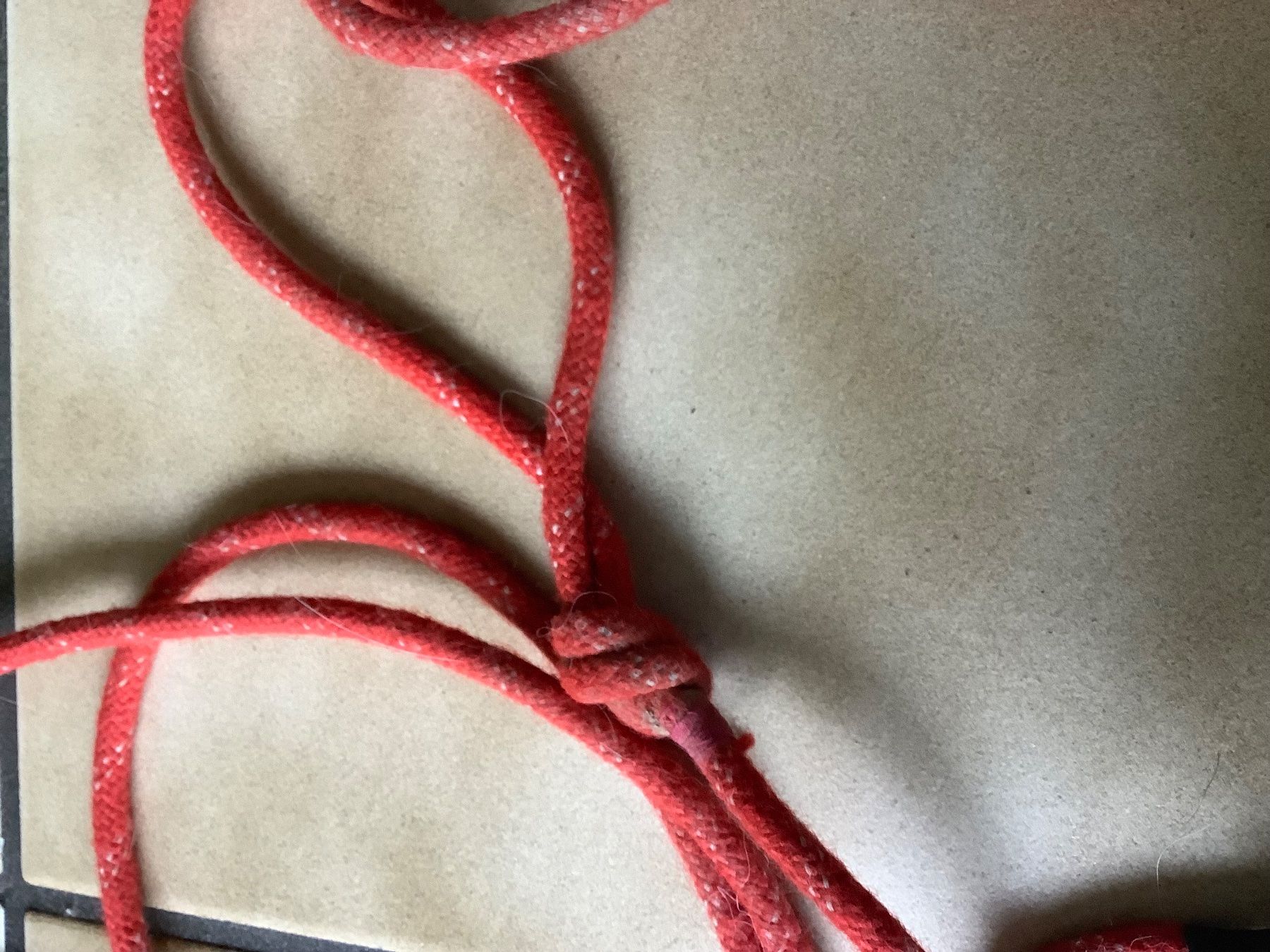 Collier et laisse: CHIENS : LONGE de 7.2 mètres avec poignée – D'occasion à Le Lignon par Gwen77 1
