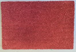 Kokosmatte Türvorlege Fussmatte Eingangsteppich 40x60cm