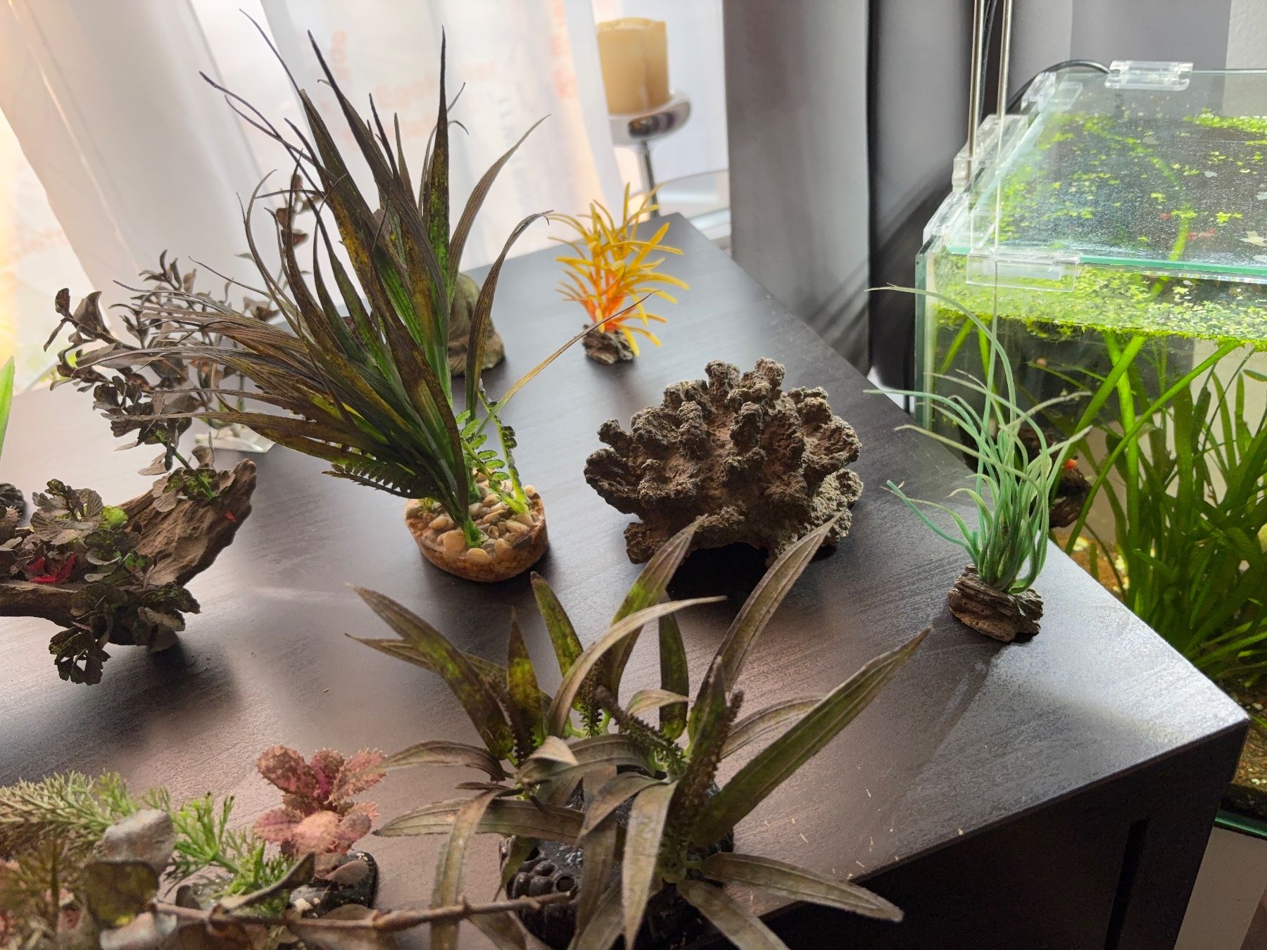 Tutte le decorazioni: Aquarium Deko 18 Teile – Usato da Hägglingen venduto da l-rocca 4