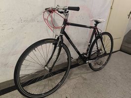Stevens Stadt Rennvelo