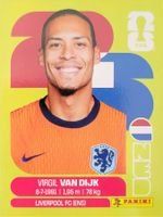Panini Sticker FIFA WM 2103 Virgil Van Dijik NED3