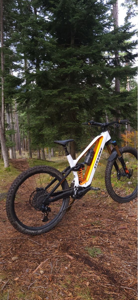 Stevens Biciclette: Stevens E-Inception AM 8.7.1 Spezial – Usato da Domat-Ems venduto da flo_6tf6 2
