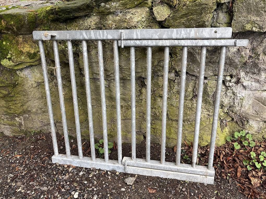 Türen: Stalltor – Gebraucht aus Burgistein von Hohlenwegen