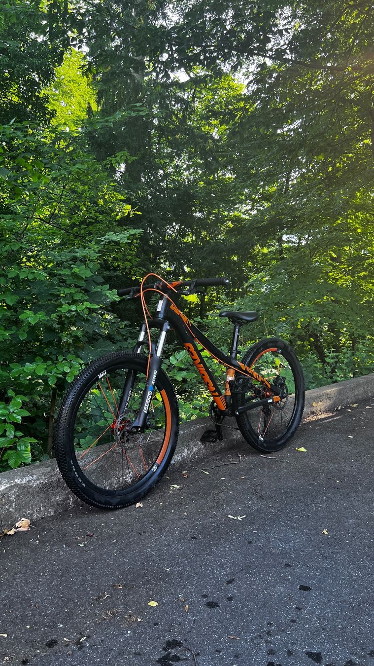 Velos: Ns Bikes clash 24 mit Scheibenbremsen. – Gebraucht aus zürich von landy88 2
