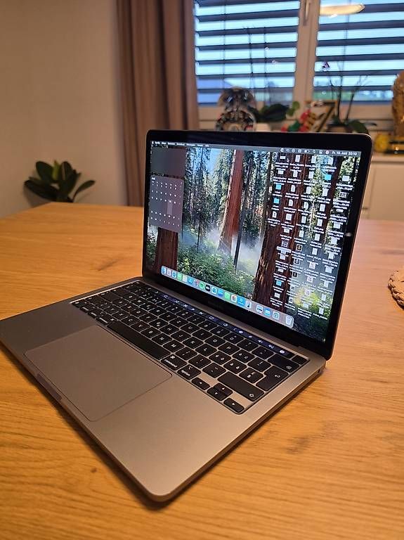 Notebook: Apple MacBook Pro M1 – Usato da Herznach venduto da _minions 1