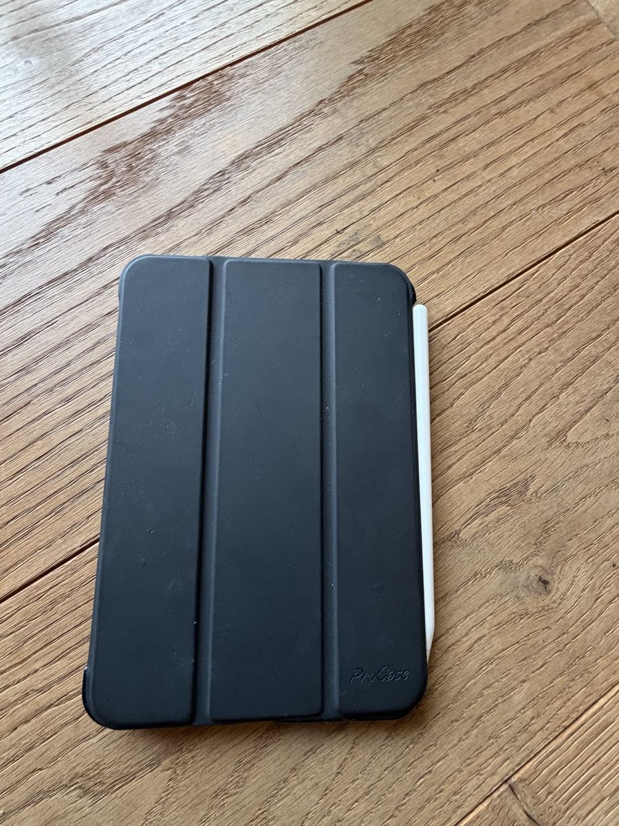 Apple Tablet PC: Ipad Mini 6th Gen., WiFi- wie neu! – Usato da Rothenburg venduto da Krystal_Limousines 1