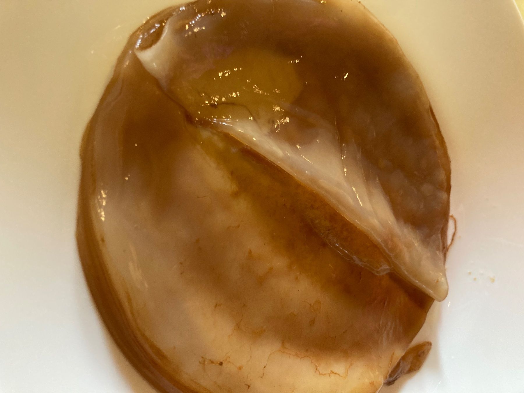Aliments & Spécialités: Kombucha – D'occasion à Chancy par dia_tb2t 1