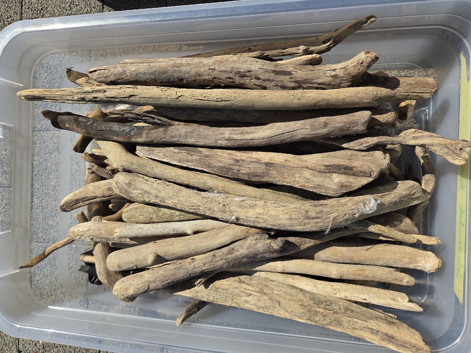 Articoli in legno: Schwemmholz – Usato da Beinwil am See venduto da stoeffi83 2