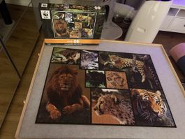 Puzzle Wildkatzen 1000 Teile
