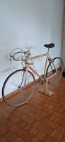 Rennvelo aus Bambus