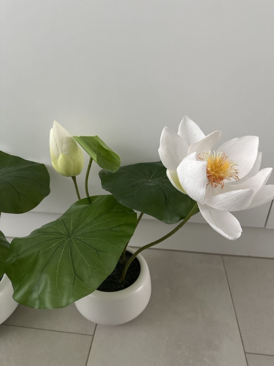 Piante & sementi: 2x Kunstblumen grün / weiss – Usato da Zug venduto da Hehe 1