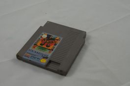 Dragonninja NES Spiel