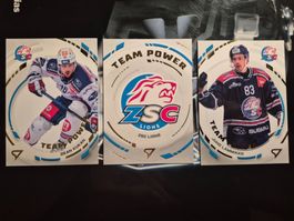 ZSC Lions Team Power Sportzoo 2024/25