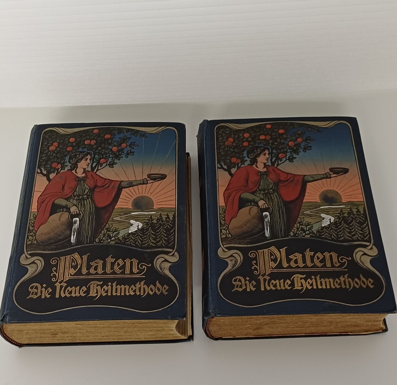 Appareils médicaux: 2 Bücher Neue Heilmethoden Platen  – D'occasion à Grosswangen par Geschenkberatung
