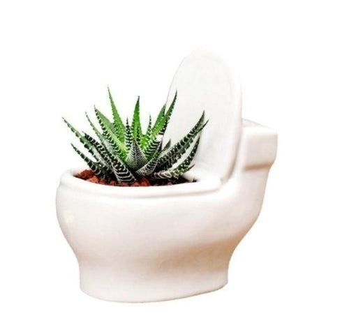 Vasi per fiori: Blumentopf - Toilette – Nuovo e nell'imballaggio originale da Buchs SG venduto da Skullep