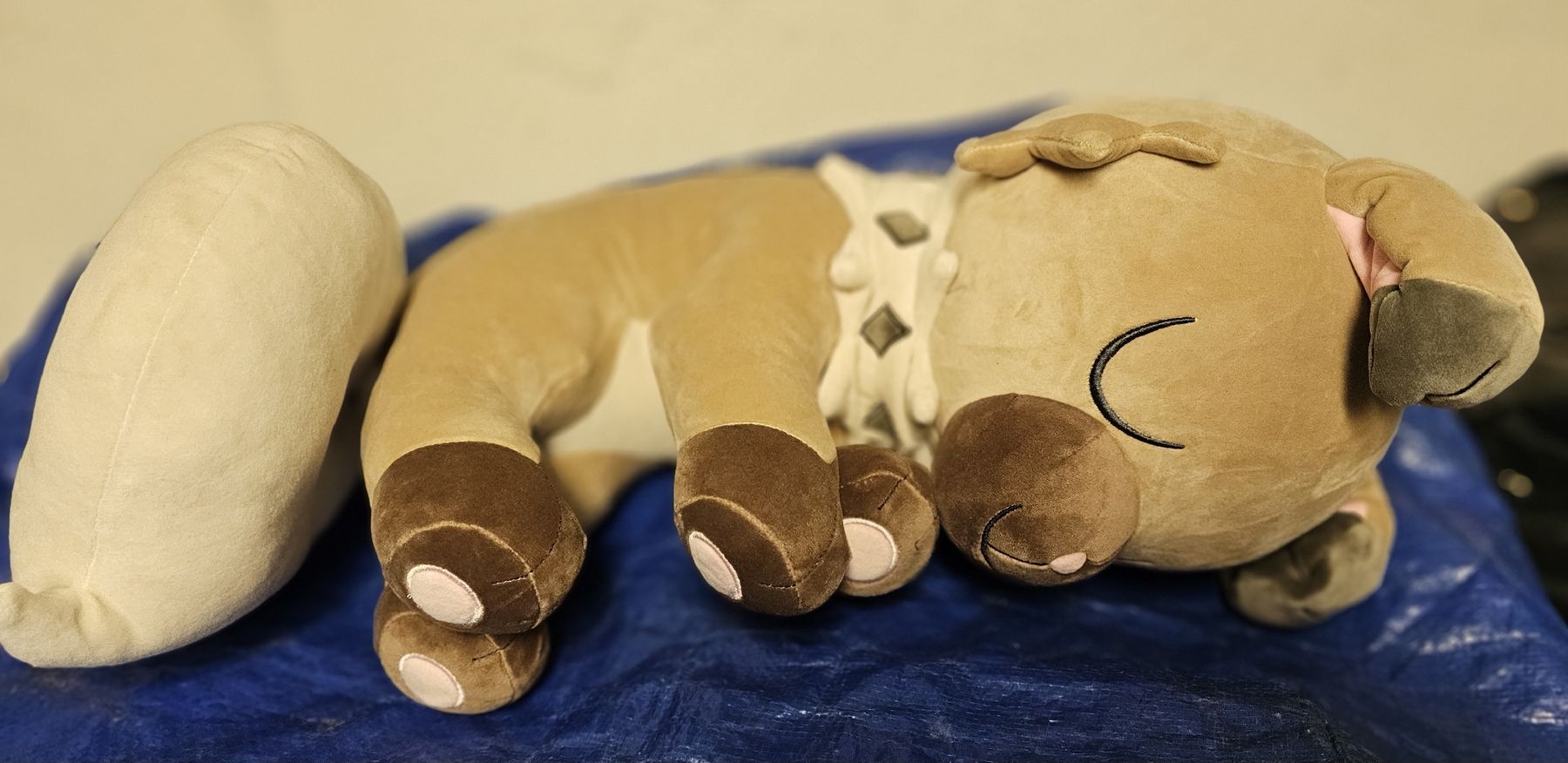 Pokémon Giocattoli: Pokemon Schlafendes Wuffels Plüsch – Nuovo (secondo la descrizione) da St. Gallen venduto da plh_n2wm 2