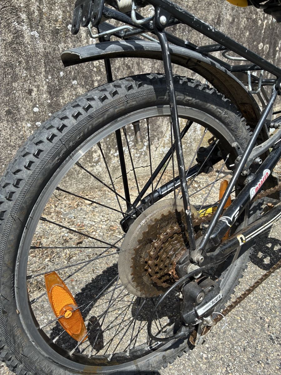 Felt Biciclette: Felt Kindervelo – Usato da Winden venduto da MZUE 4