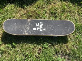Gebrauchtes Skateboard - Ideal für Einsteiger im Frühling