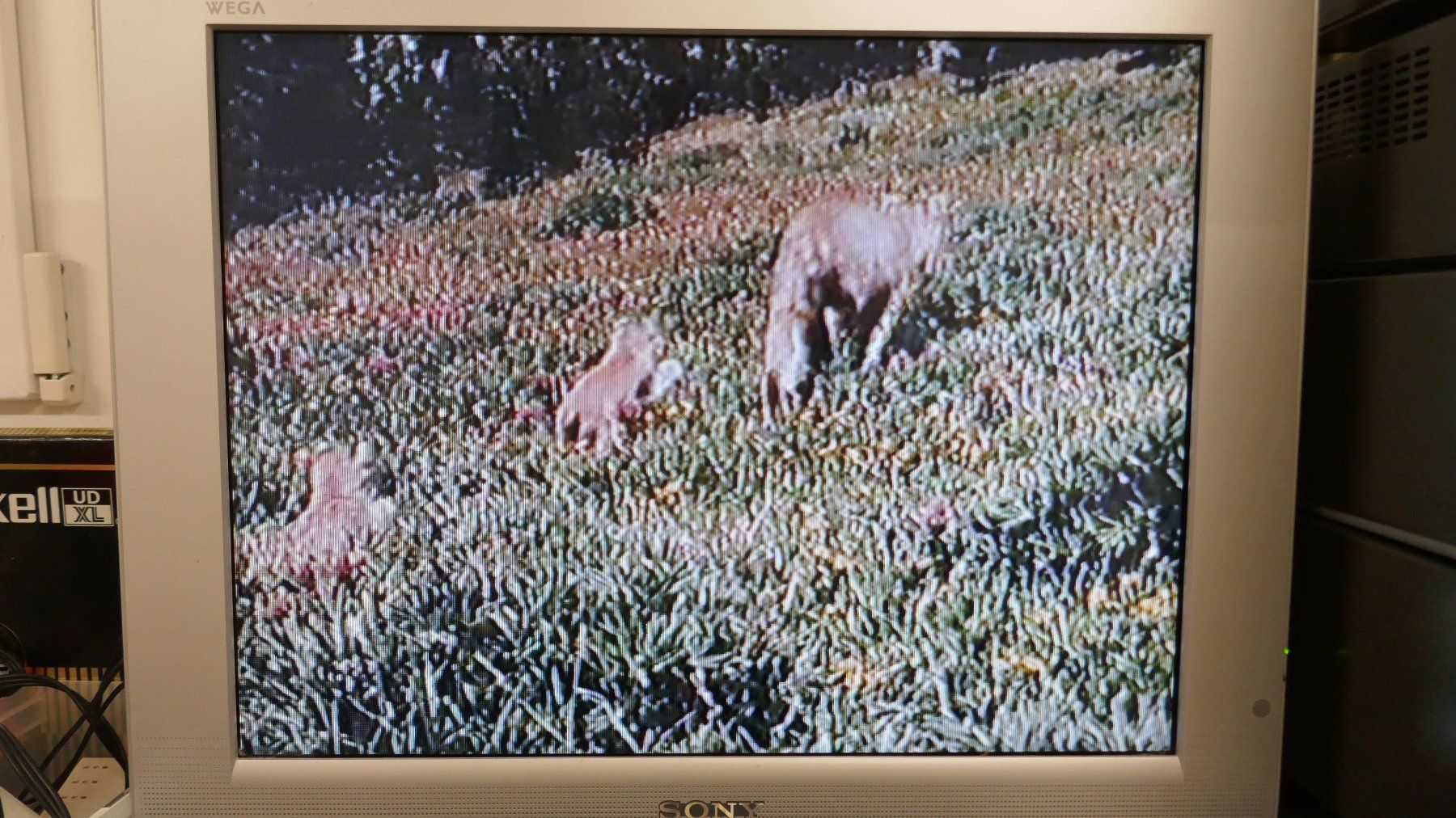 LG Aufnahmegeräte: LG VHS Videorecorder – Gebraucht aus Wenslingen von FairlightCMI 4