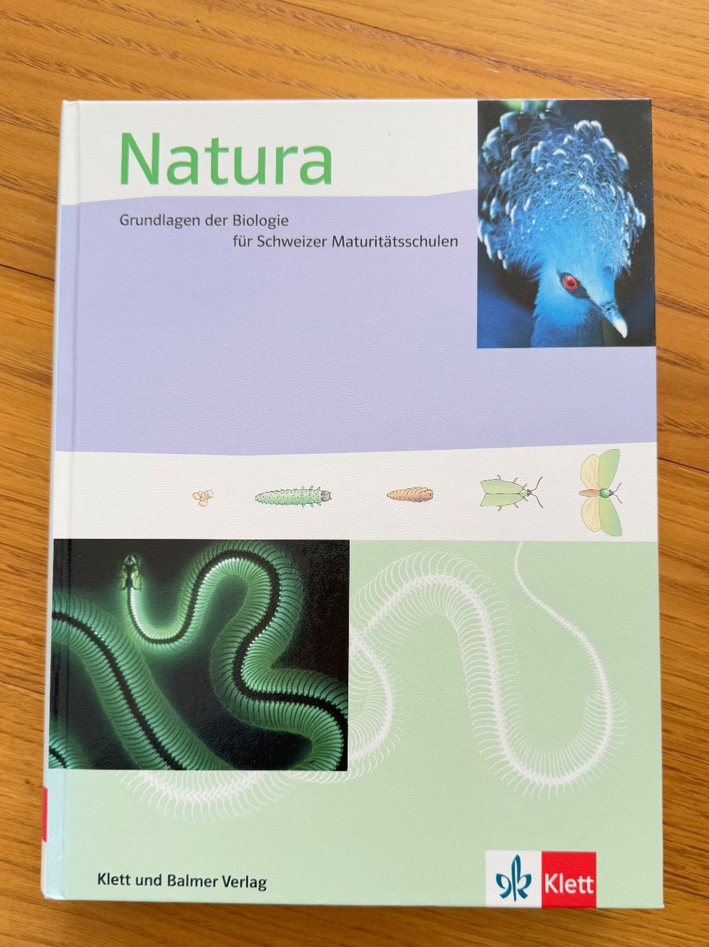Libri: Biologie Buch – Usato da Sissach venduto da laura.x4