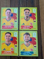 Panini Colombia
