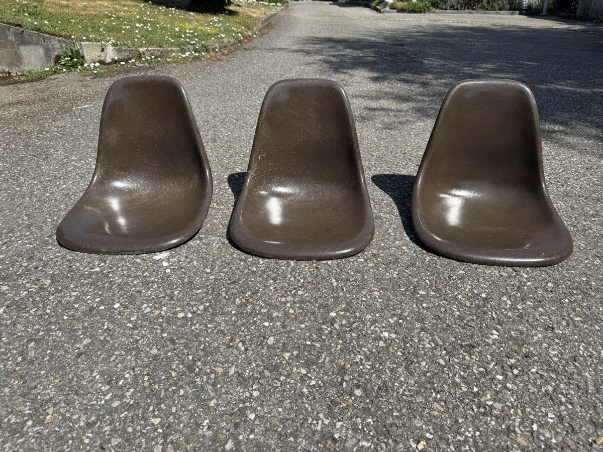 Sedie: 3 Eames Schalen Braun ab 1.- Defekt  – Usato da Grenchen venduto da Design-Outlet