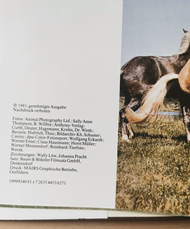 Bücher: Pferde  (Buch, Heidrun Werner) – Gebraucht aus Wilen b. Wollerau von morethanmusic 3